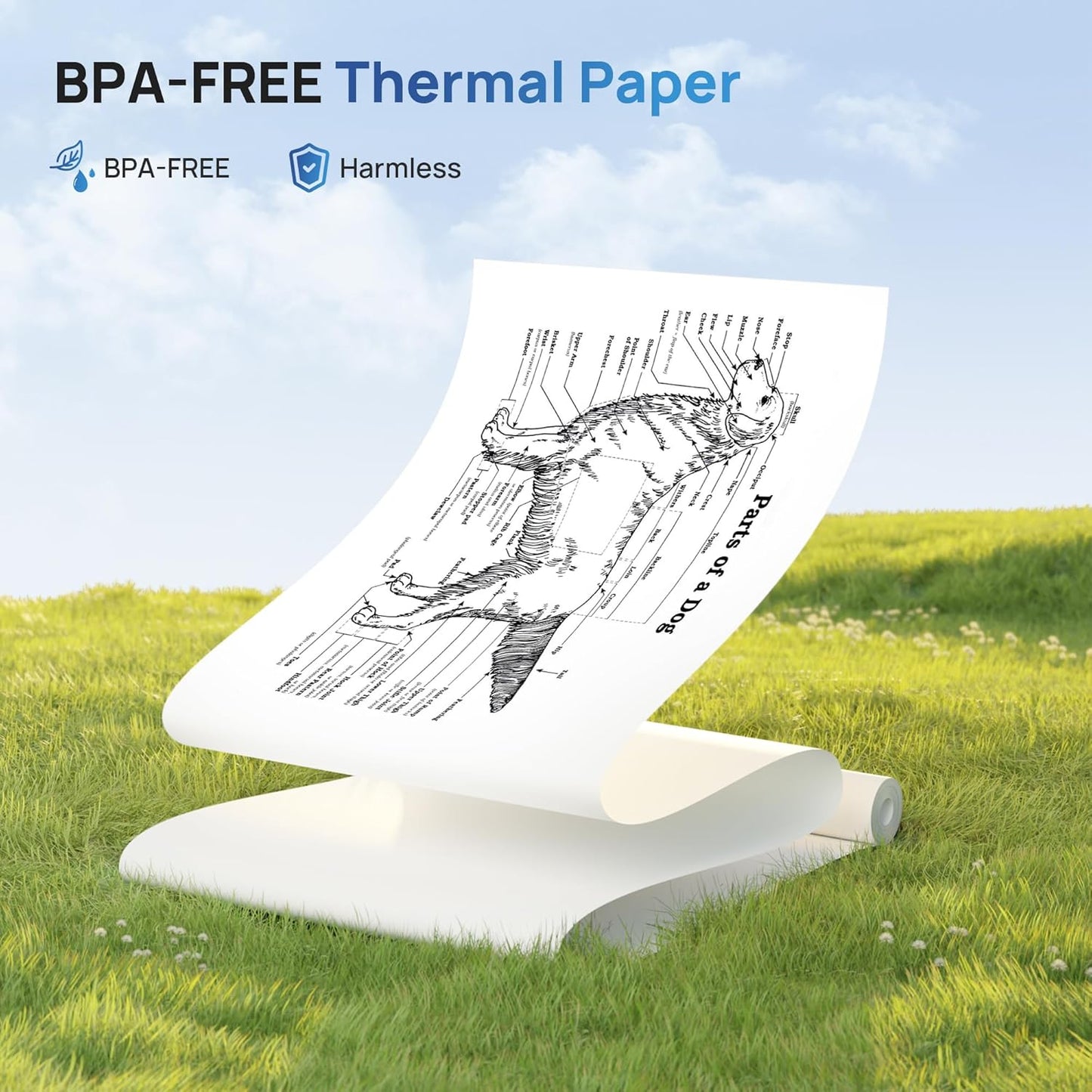 D820 Thermal Printer Paper 8.5 x 11 Inch, Continuous Thermal Paper Roll, Compatible with D820 Portable Printer, 2 Rolls