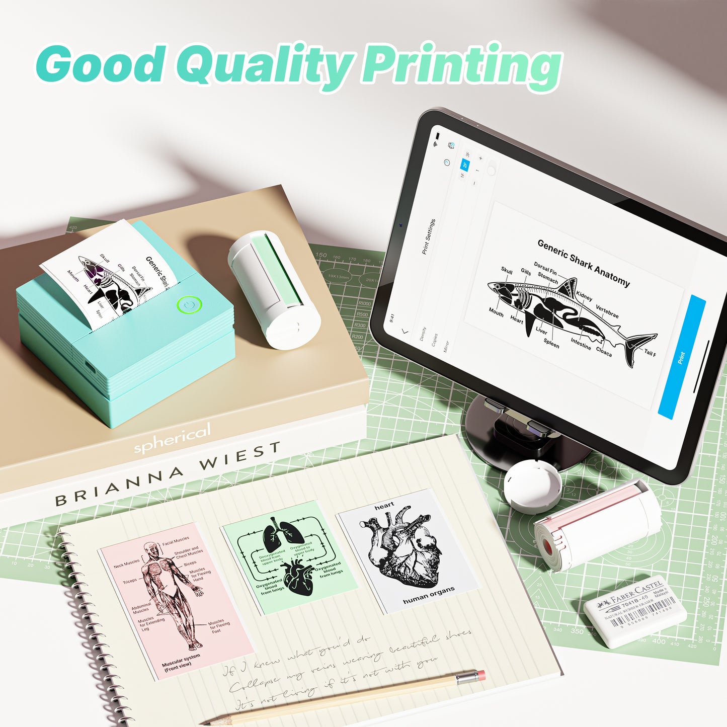 Genuine Self-Adhesive Thermal Printer Stickers, 54mmx3.2m Sticker Paper, Compatible with PM290 Mini Sticker Printer, 3 Rolls, White/Pink/Green